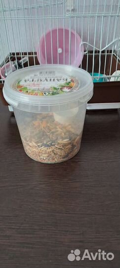 Клетка для джунгарского хомяка