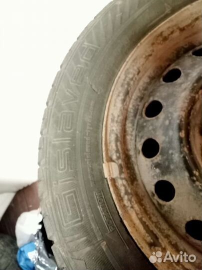 R14 Gislaved Nord Frost 5 175/70, PCD 4x112 DIA 56