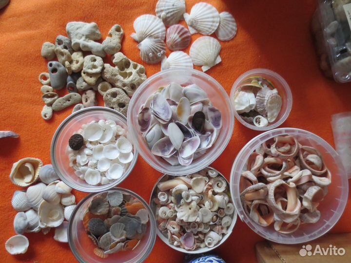 Камни и ракушки для аквариума, поделок