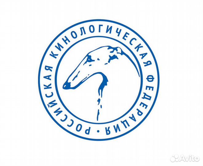 Оформление документов на собак скор, РКФ, и