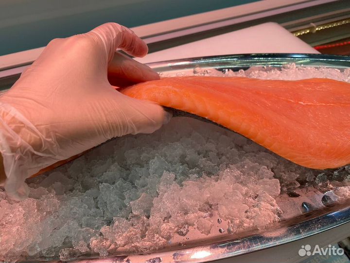 Лосось филе слабосолённый. Доставка. Опт