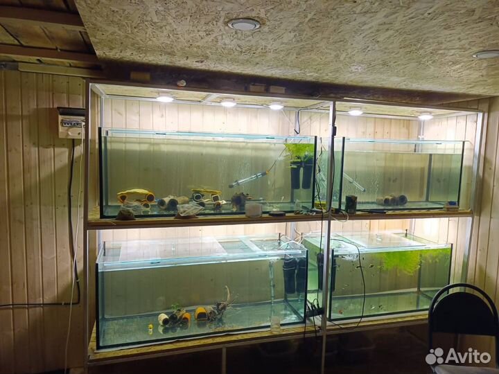 Аквариум под заказ