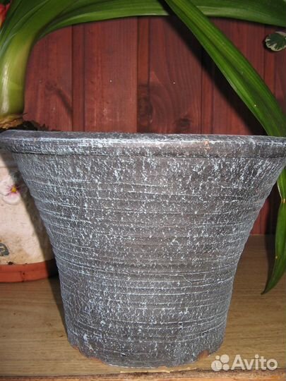 Глиняные оригинальные бонсайницы