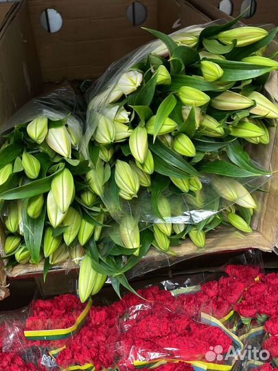 Лилия под заказ букет корзина коробка доставка