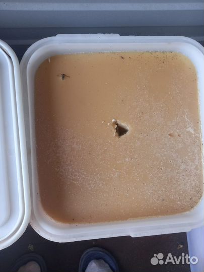 Алтайский мед