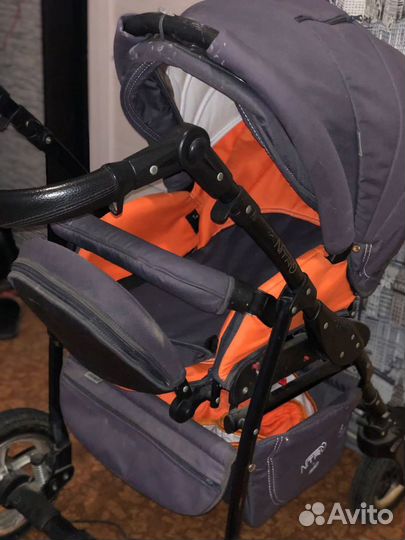 Adamex Nitro Коляска 2 в 1