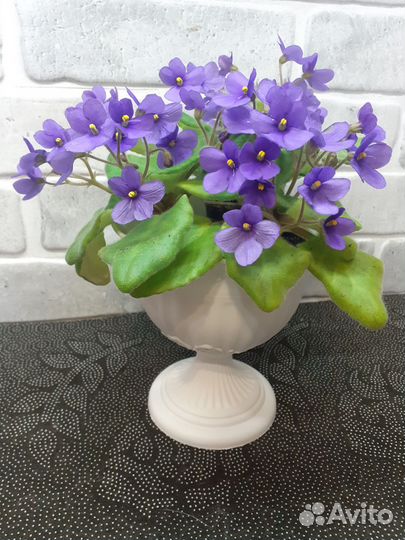 Сортовые фиалки