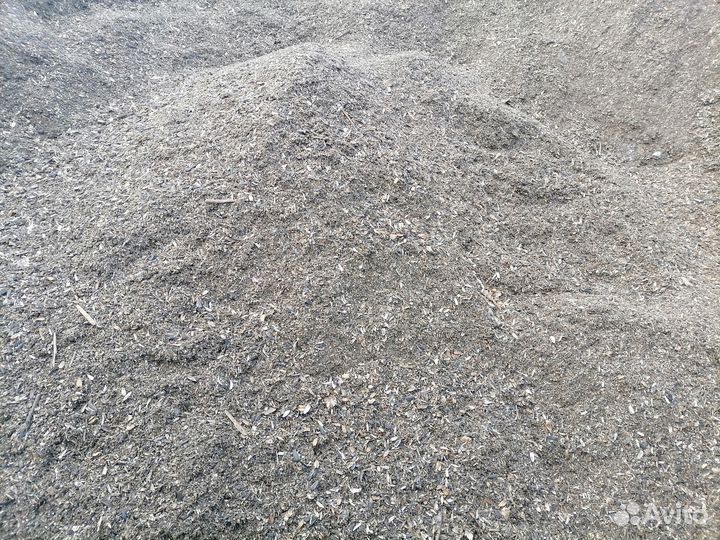 Сор семян подсолнечника