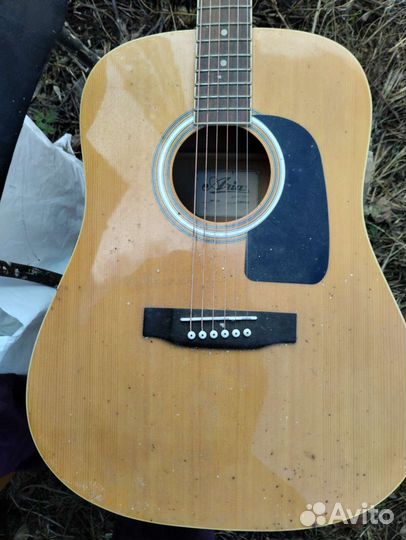 Шестиструнная гитара