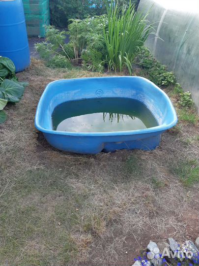 Емкость для воды пластиковая бу