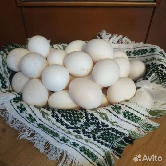 Яйца куриные домашние