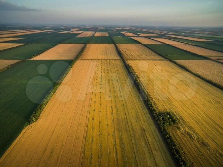 Участок 5,6 га (СНТ, ДНП)