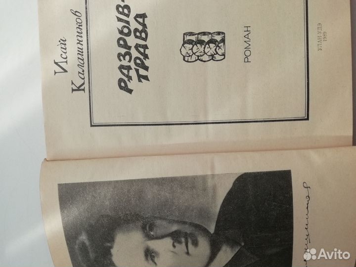 Книга Разрыв-трава И. Калашников