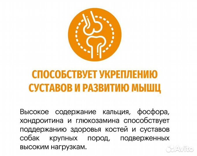 Корм сухой для собак karmy Active Medium & Maxi Ин