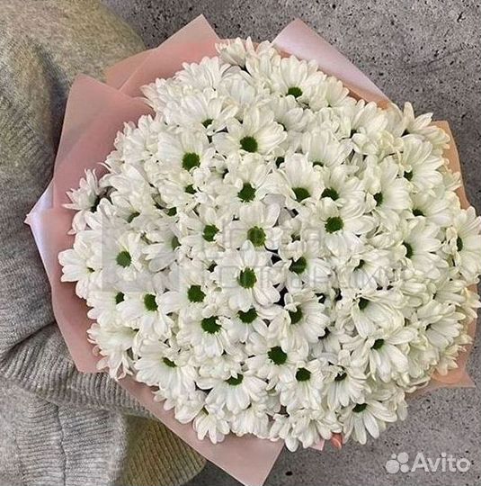 Хризантема Доставка цветов Букеты