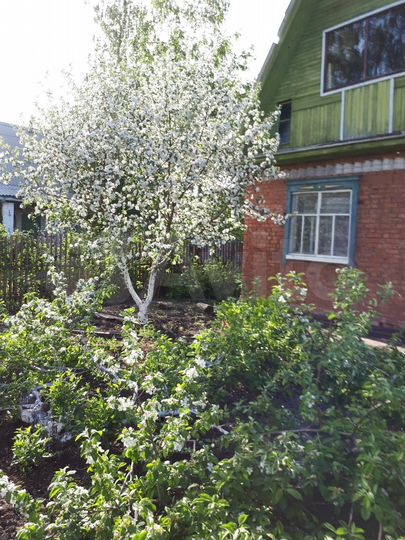 Дача 50 м² на участке 5 сот.