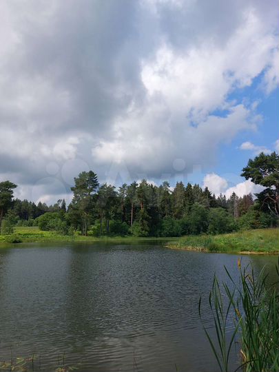 Участок 30 сот. (ИЖС)