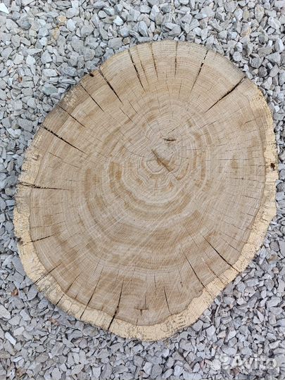 Спилы Слэб торцевые дуб Диаметр 45 см