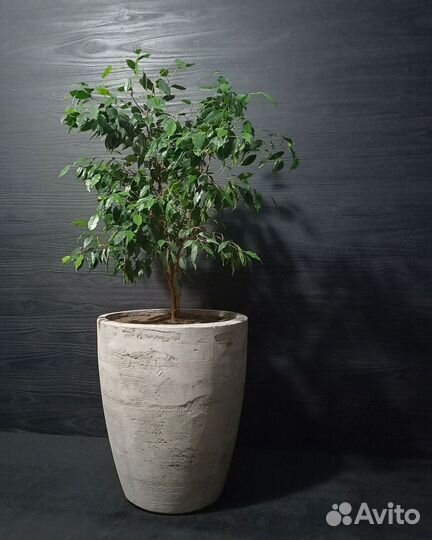 Вазоны, Горшки, Кашпо под заказ из бетона