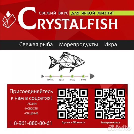 Тунец консерва в стеклянной банке 450гр