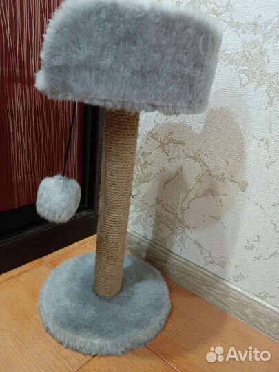 Когтеточка