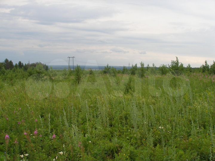 Участок 100 сот. (ИЖС)