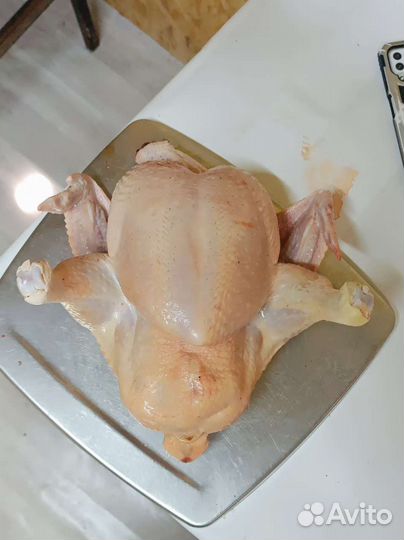 Мясо домашней курицы