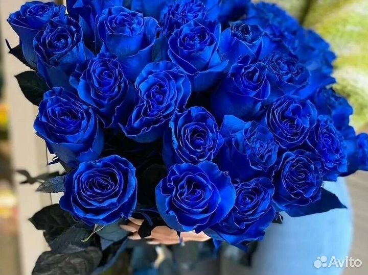 Роза, букет из роз, синяя роза, доставка