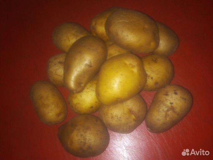 Картофель сменной домашний