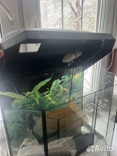 Аквариум с крышкой
