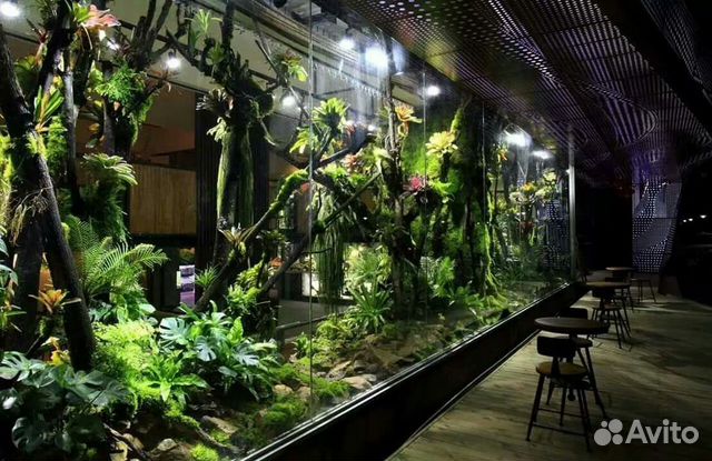 Террариум для рептилий