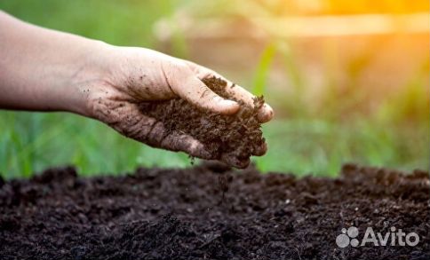 Земля плодородная