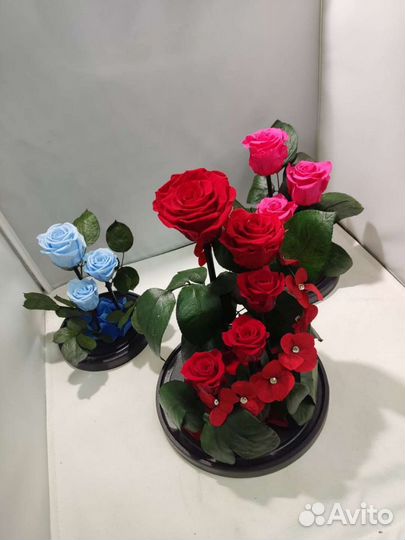 Роза в колбе