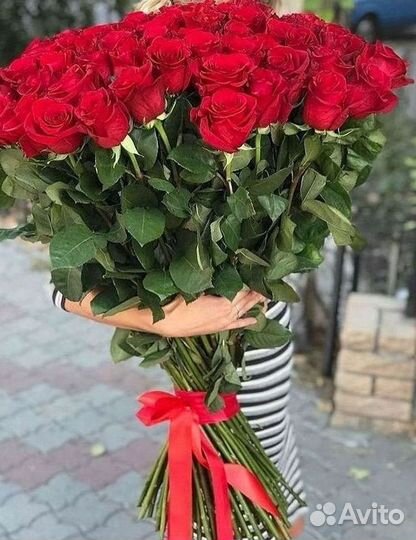 Высокие розы Гигантские Розы 150 160 170 180 190см