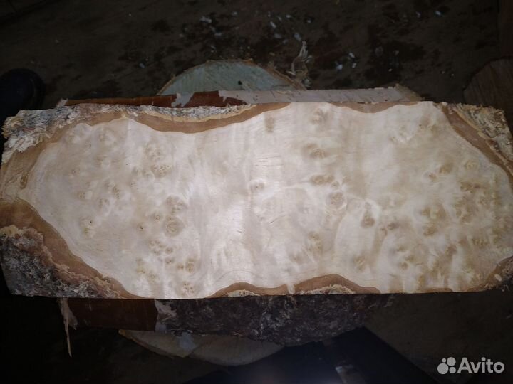 Кап березовый