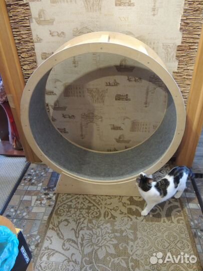 Беговое колесо для кошек