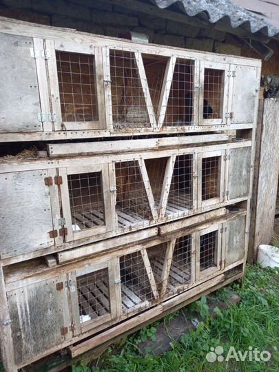 Клетка для кроликов