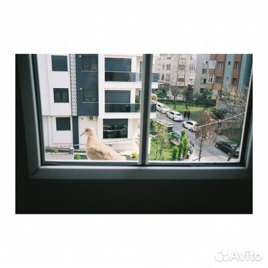 Плёночный фотоаппарат Pentax PC-303