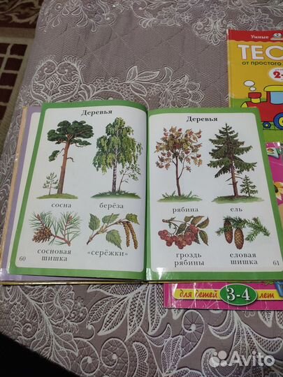 Развивающие книжки для малышей