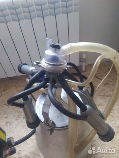 Доильный аппарат
