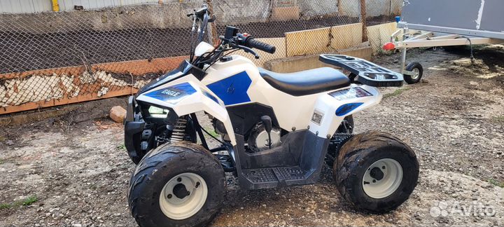Детский квадроцикл eagle 110