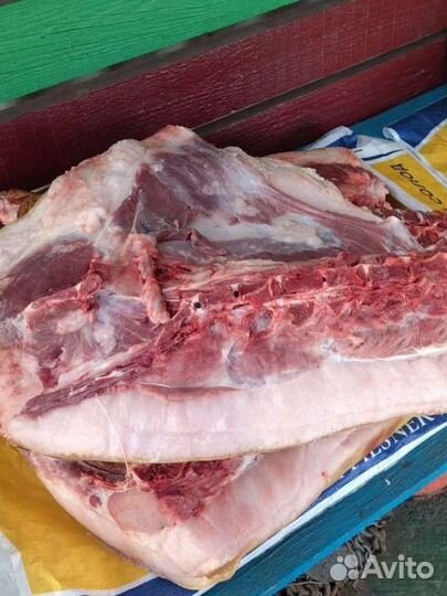 Свинина домашняя мясо