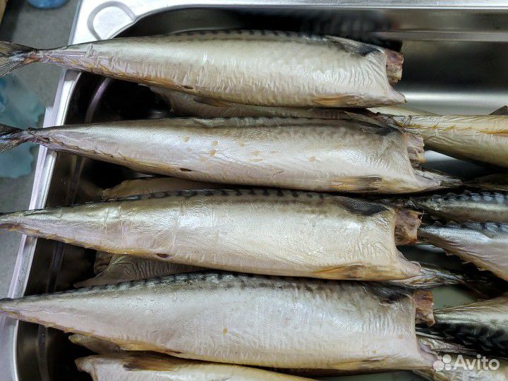 Рыба холодного копчения