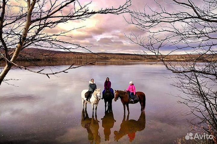 Конные прогулки