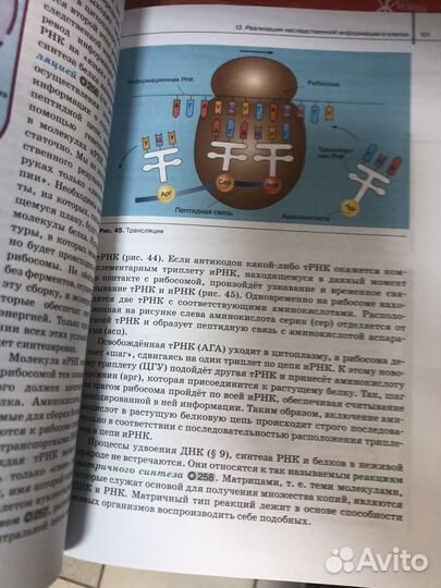 Сивоглазов. Биология 10кл Учебник