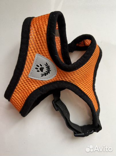 Толстовка, шлейка для маленькой собаки
