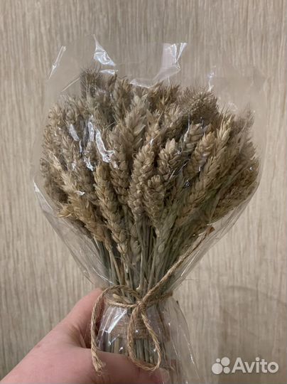 Букет сухоцветов 