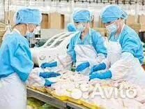 Упаковщик/ца без опыта вахта в Тамбов с жильем