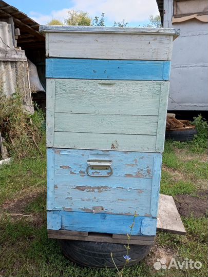 Улей10ти рамочный