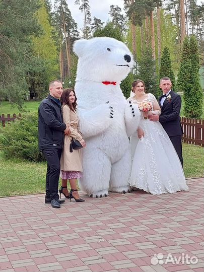 Белый Медведь Поздравительный